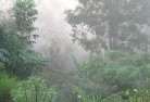 Koraleighlandscaping-irrigation-4.jpg; ?>